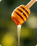 Wild Honey