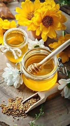 Common Challenges in Beekeeping and How to Solve Them
