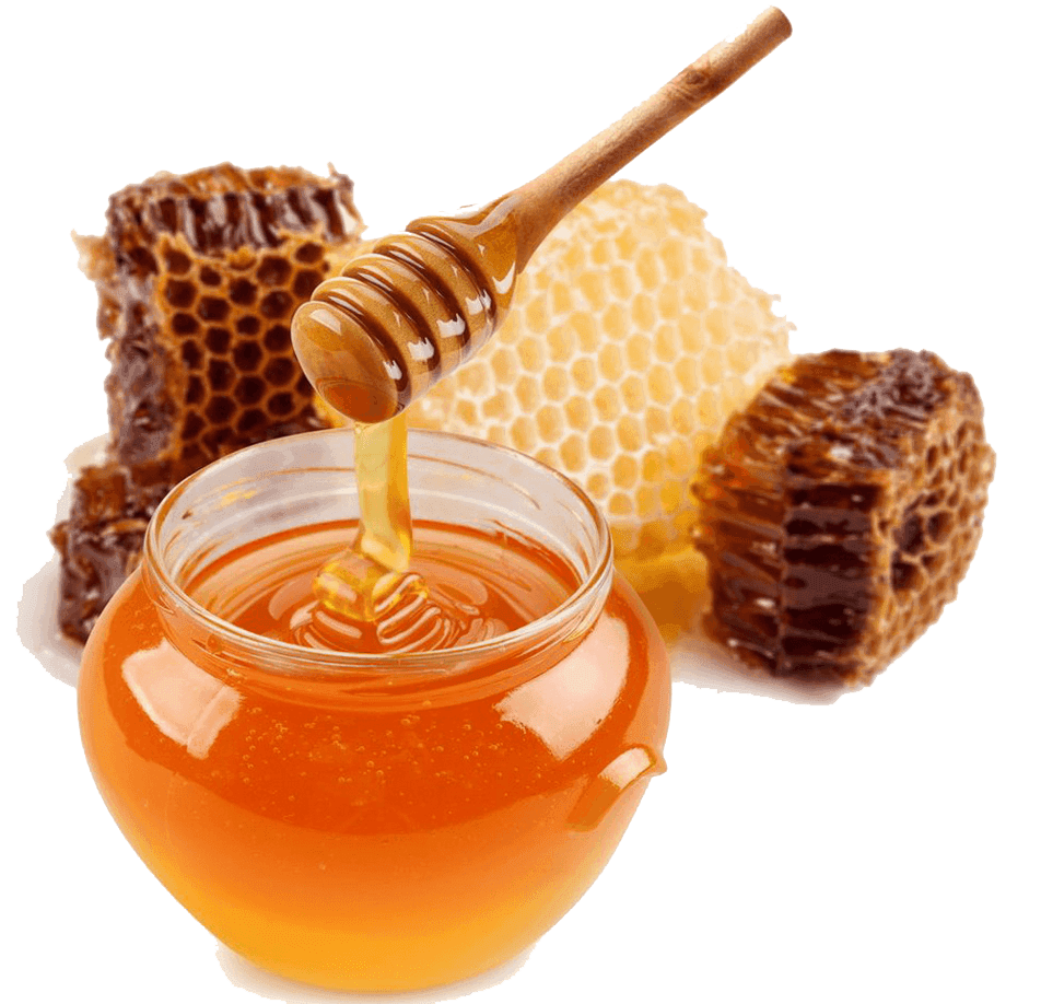 Sustainable Beekeeping and Its Importance for the Environment